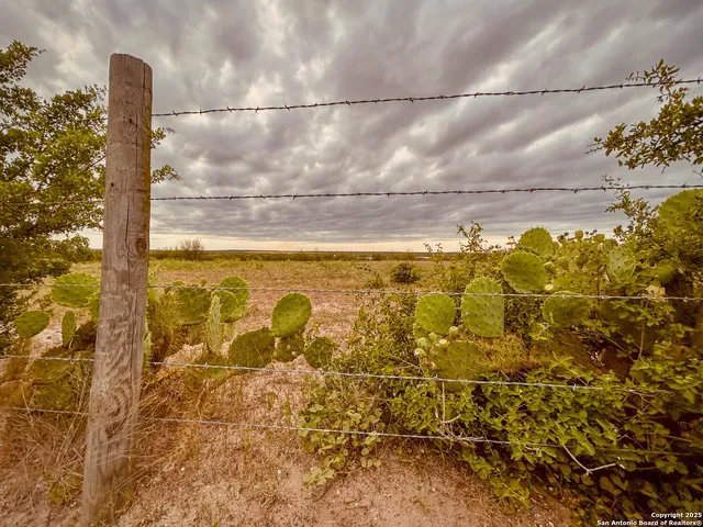 a view of a lake with a house in the background