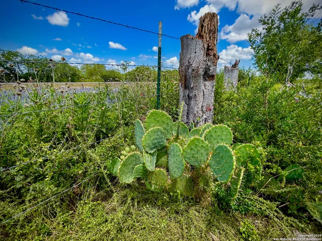 a view of a lake with houses in the back