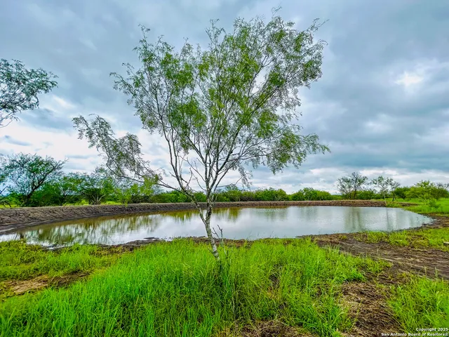a view of a lake with houses in the back