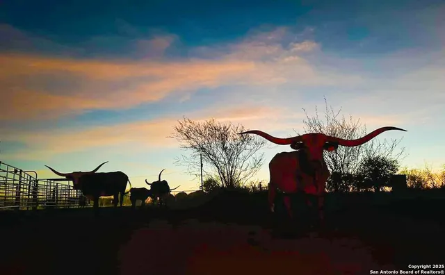 $635,500 | 1 Us-181, Kenedy, TX 78119