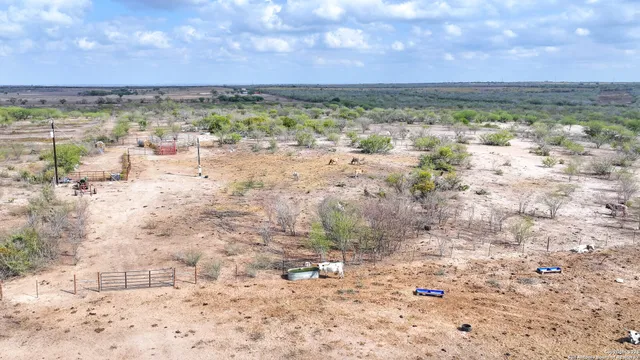 a view of a dry yard with lots of trees