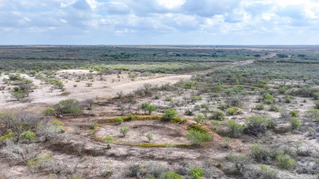 a view of a city with lush green forest