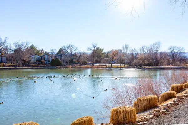 a view of a lake with houses