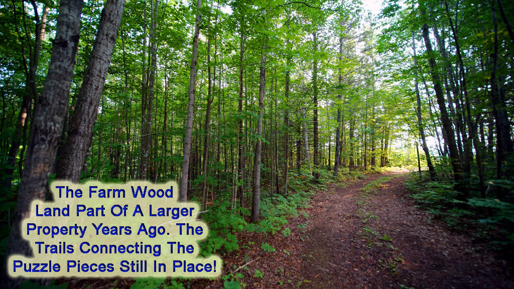 Lot 9-1 New Limerick Road Houlton, ME 04730 - Photo 31 of 40 leisner-maine-land-20