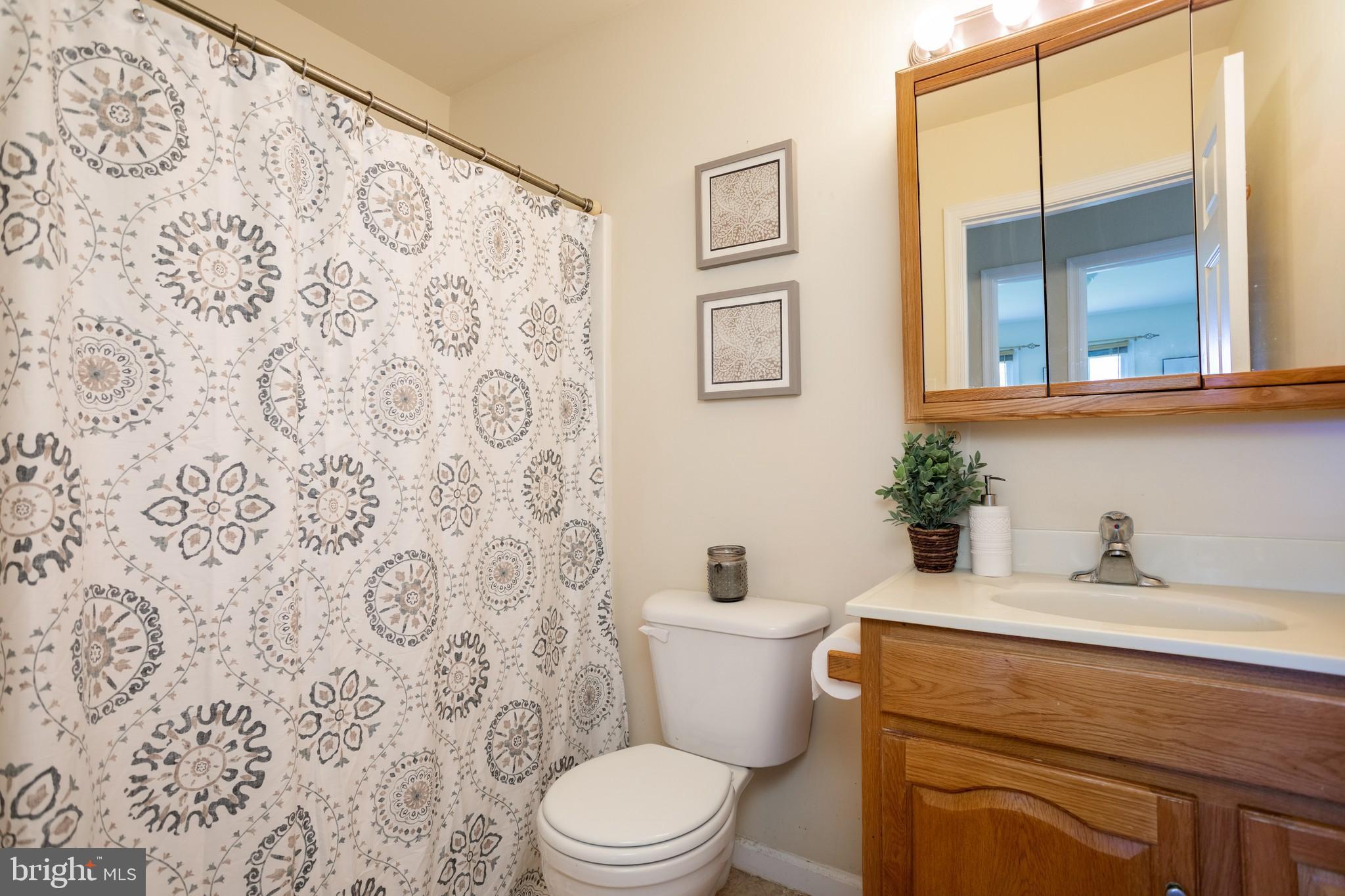 252 Sycamore Road Elkton, MD 21921 - Photo 9 of 17 Full hall bath with shower/tub combo