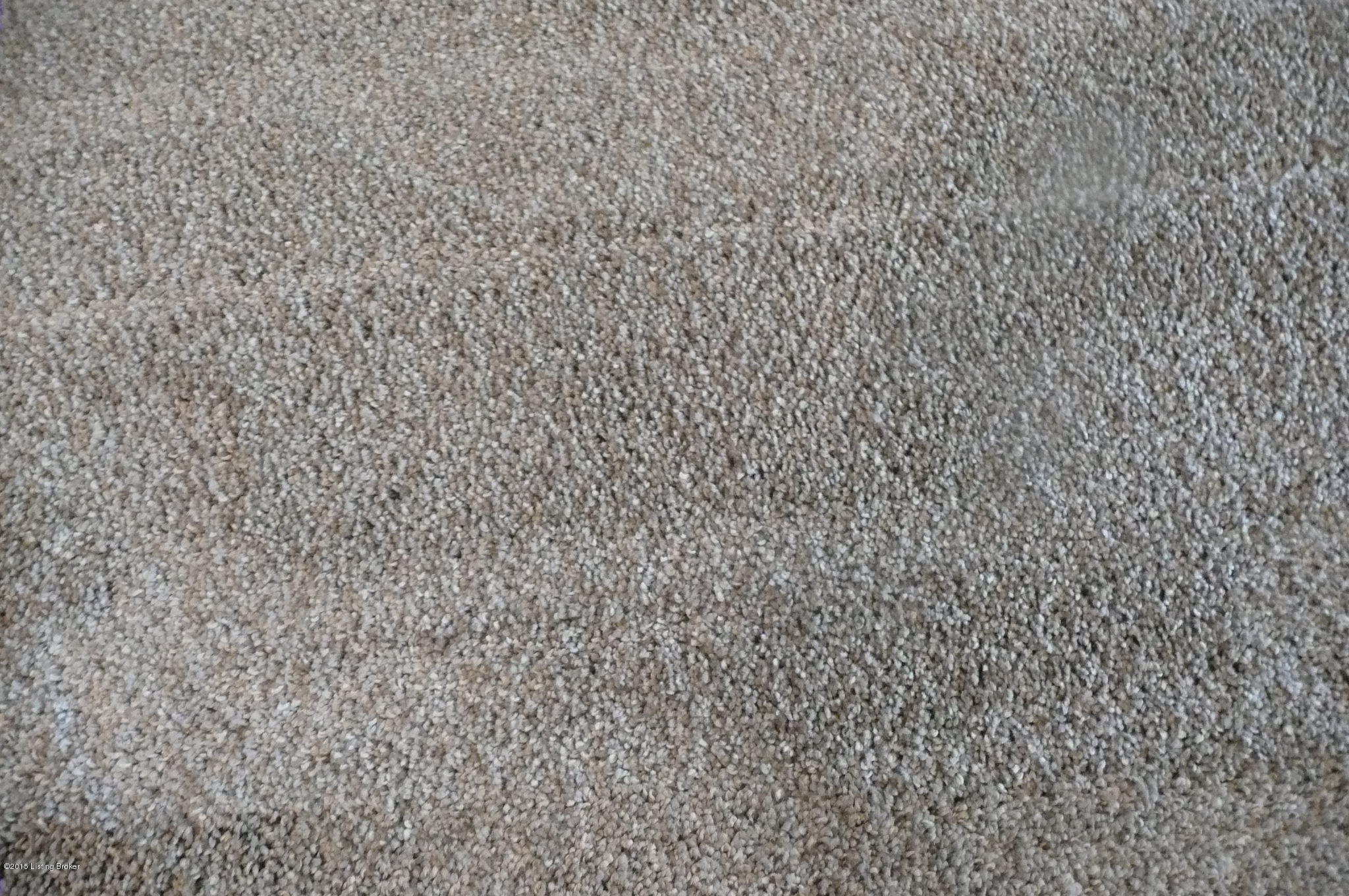 3607 Trail Ridge Road Louisville, KY 40241 - Photo 50 of 61 New Carpet, neutral