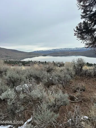 a view of a dry field with trees in the background