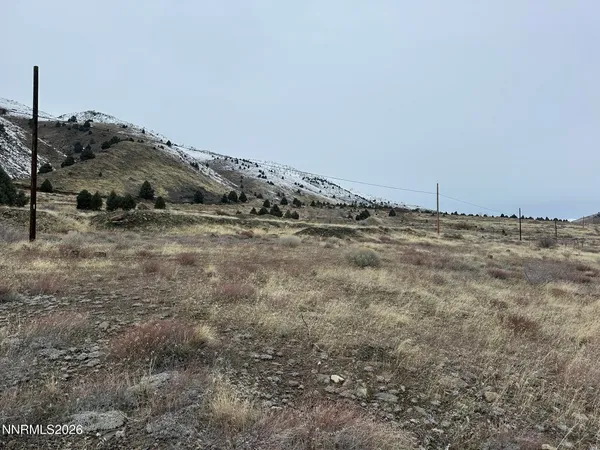 a view of a dry field with trees