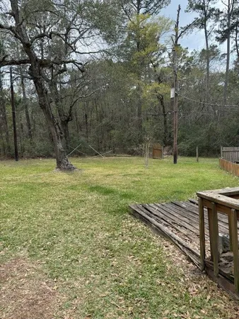 a view of a yard with large trees