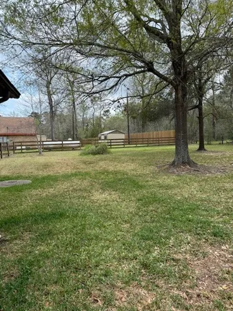 a view of a trees in a yard