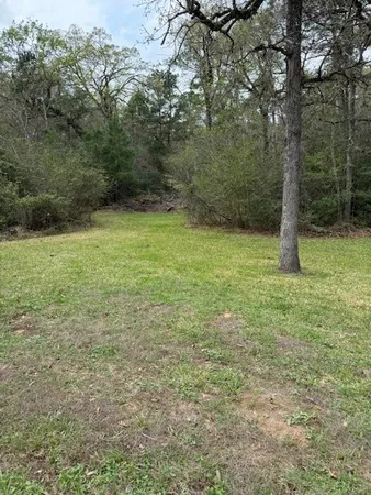 a big yard with lots of green space and trees