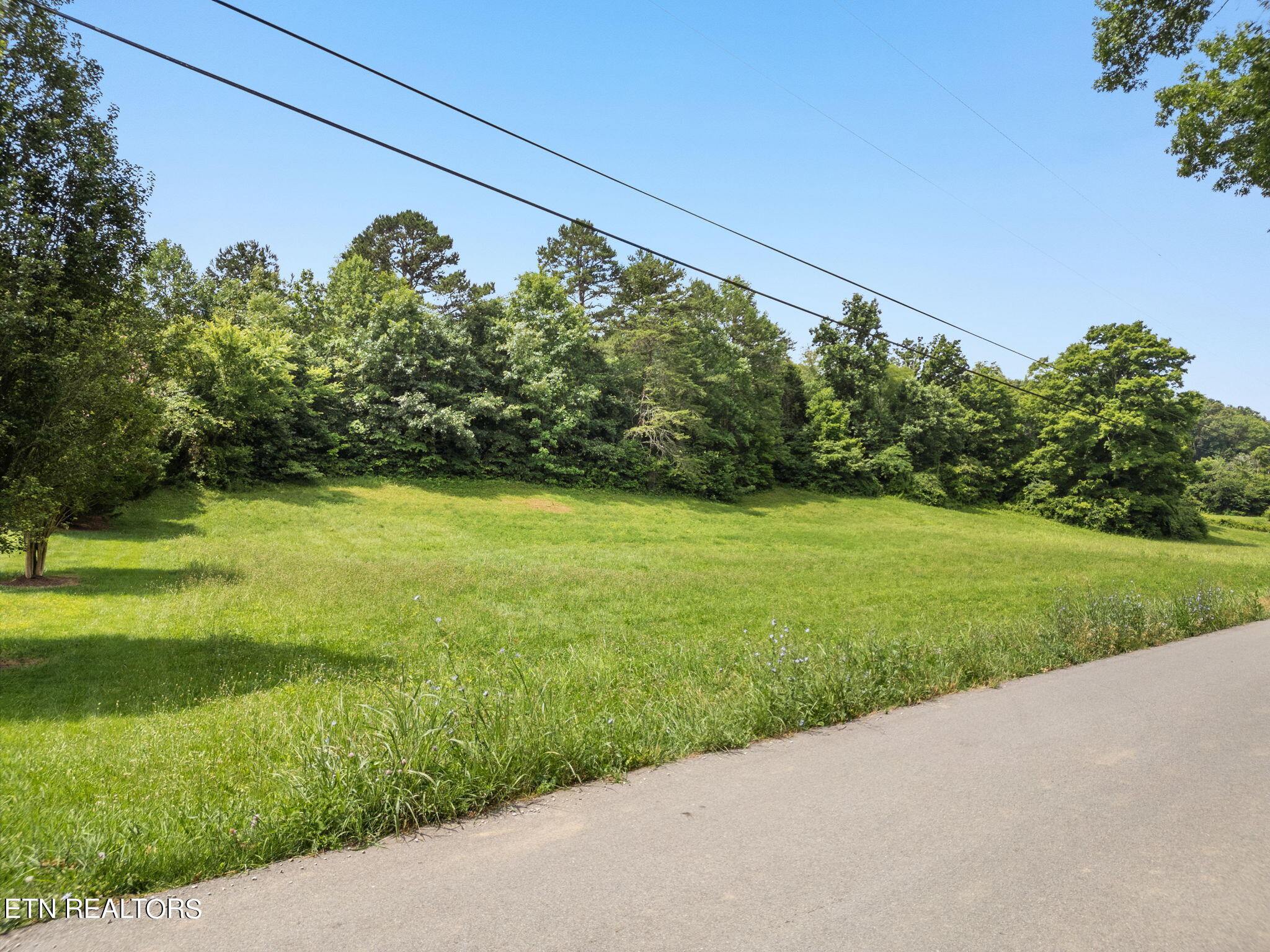 10140 Stringtown Road Strawberry Plains, TN 37871 - Photo 23 of 32 23-web-or-mls-DJI_0749