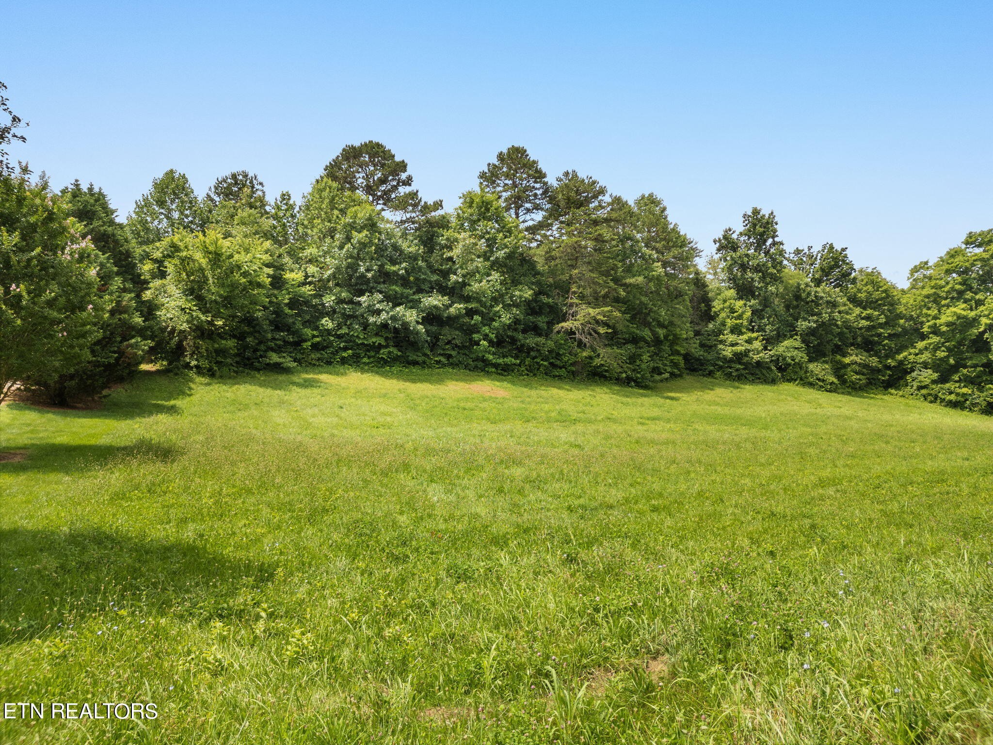 10140 Stringtown Road Strawberry Plains, TN 37871 - Photo 24 of 32 24-web-or-mls-DJI_0754