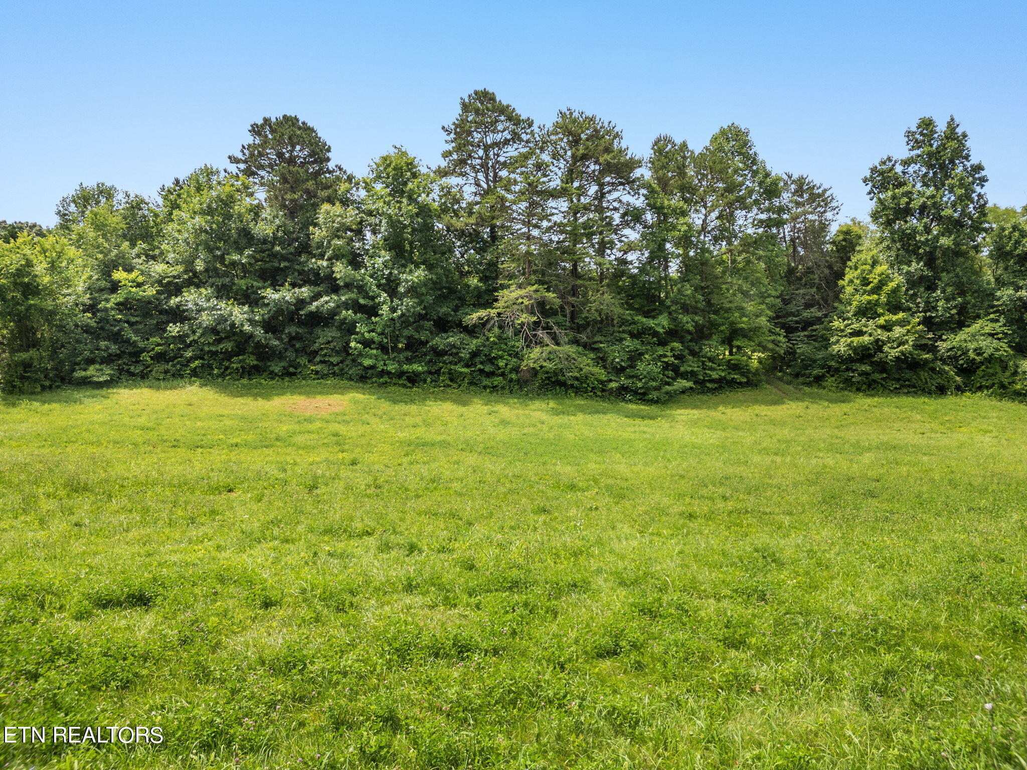 10140 Stringtown Road Strawberry Plains, TN 37871 - Photo 26 of 32 26-web-or-mls-DJI_0764