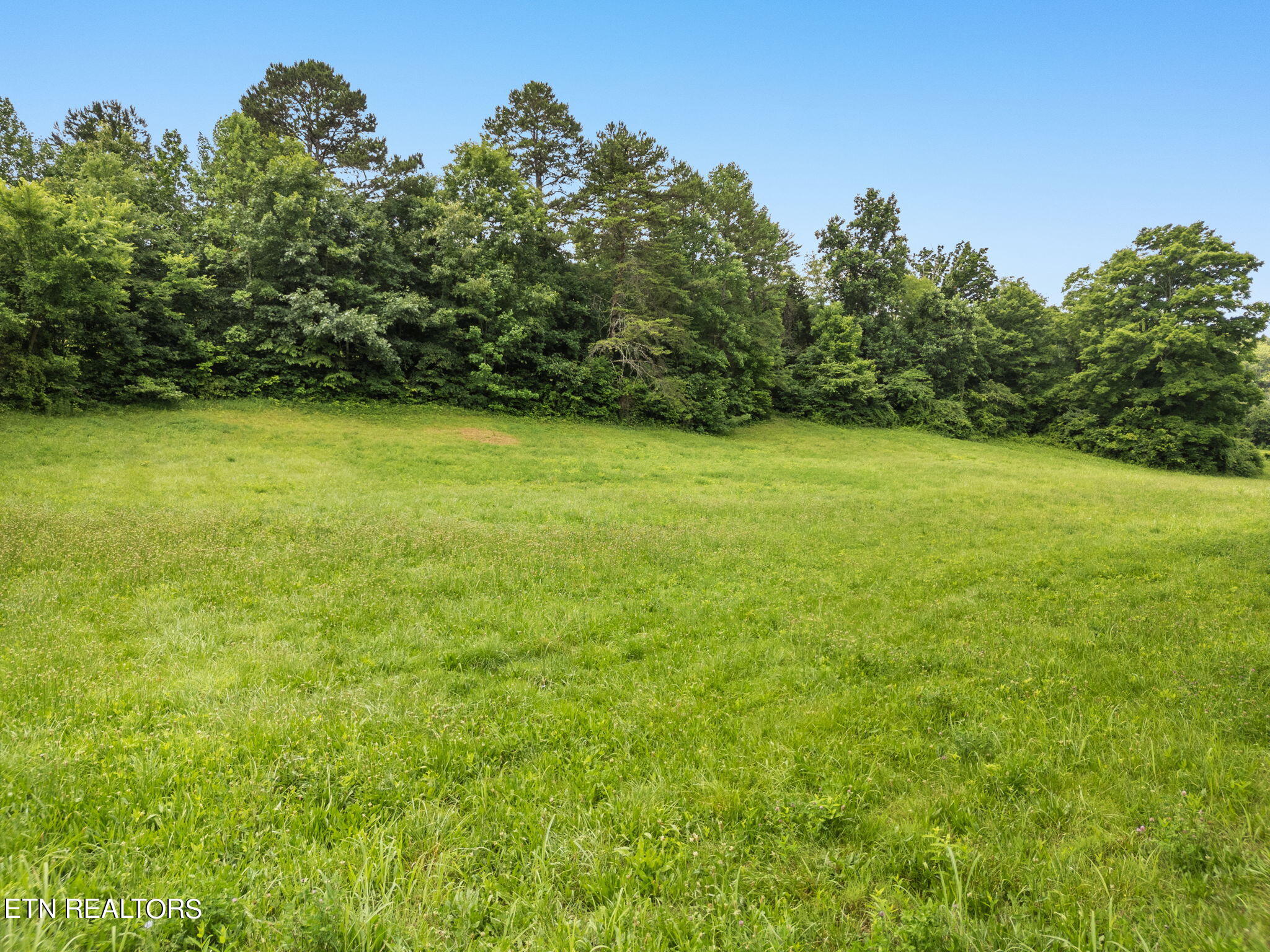 10140 Stringtown Road Strawberry Plains, TN 37871 - Photo 29 of 32 29-web-or-mls-DJI_0859
