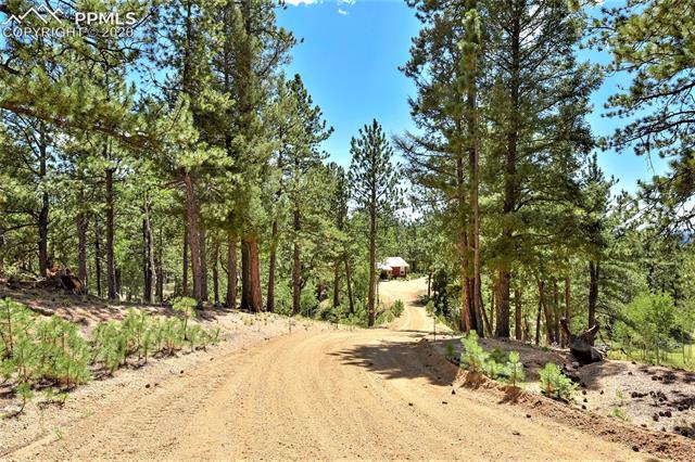 3875 Pathfinder Road Florissant, CO 80816 - Photo 5 of 34 Gallery Image 5