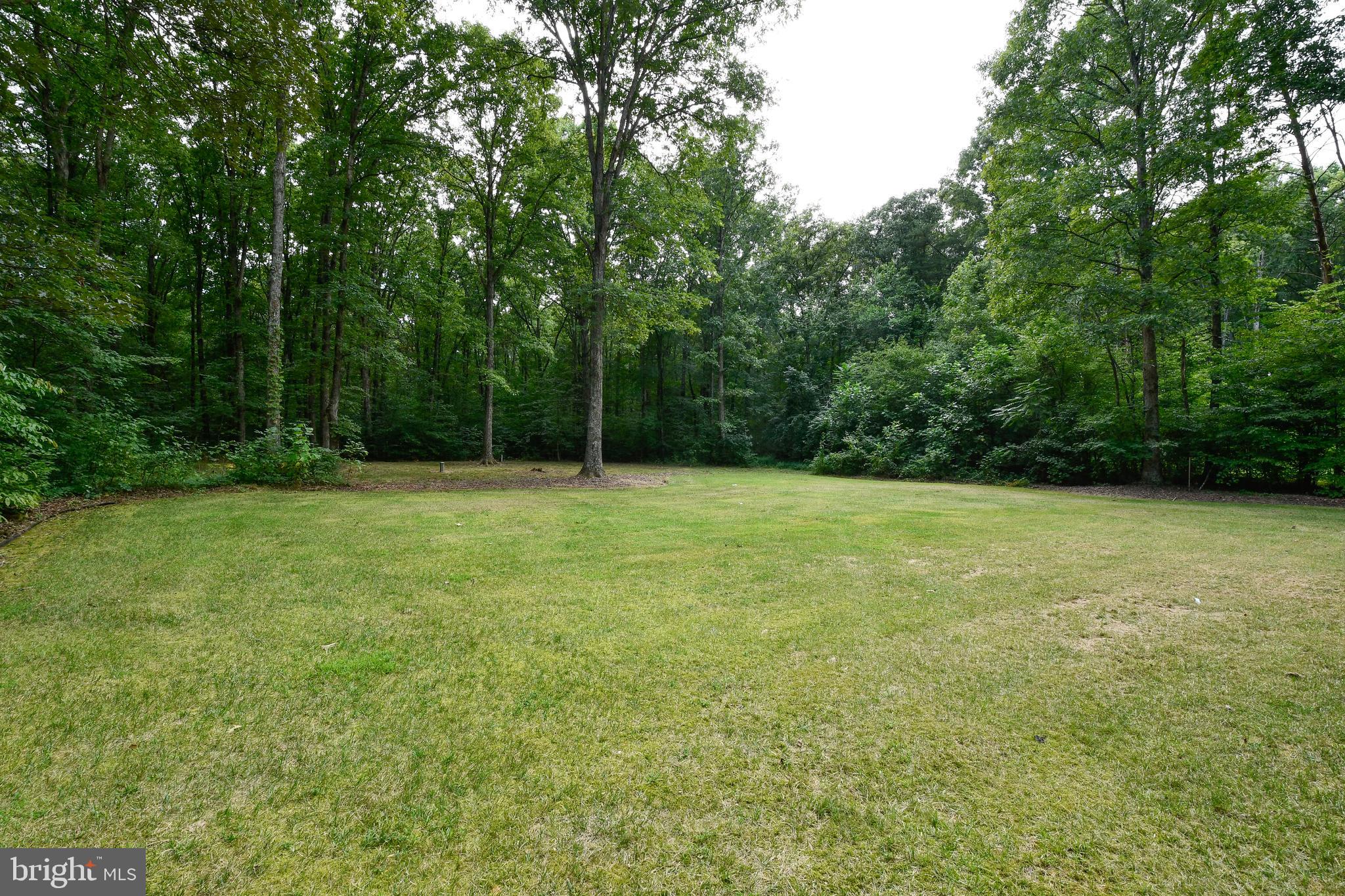 10114 Fairview Road Partlow, VA 22534 - Photo 6 of 34 rear yard