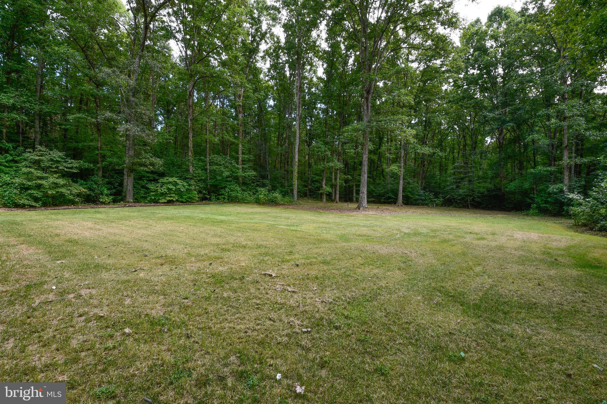 10114 Fairview Road Partlow, VA 22534 - Photo 10 of 34 rear yard