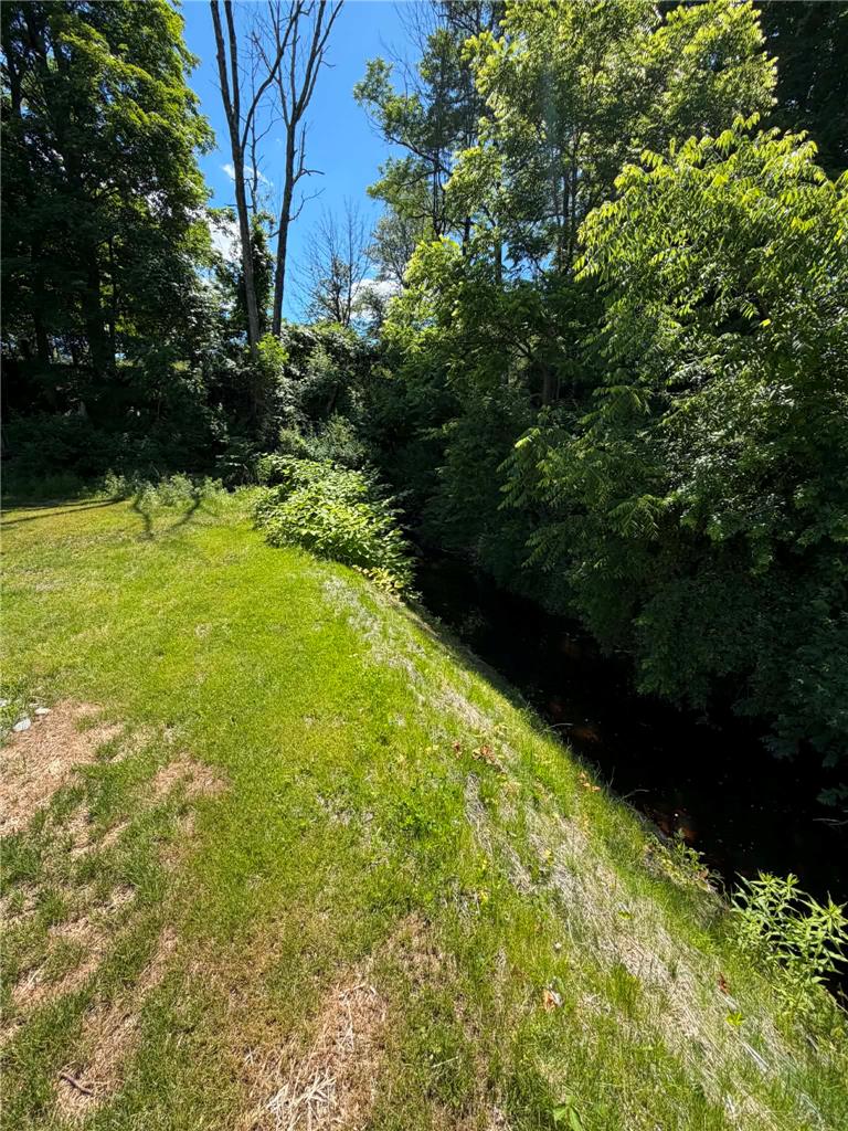 164 Sand Spring Road Cresco, PA 18326 - Photo 60 of 60 A tranquil stream meanders through a lush, verdant landscape, offering a serene natural backdrop.
