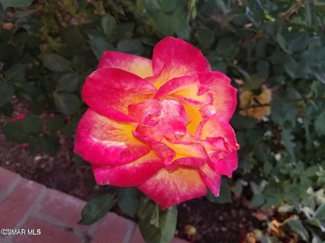 a view of a house with a yard and garden