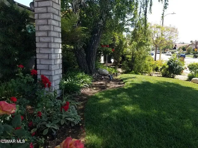 a view of a garden with a fountain