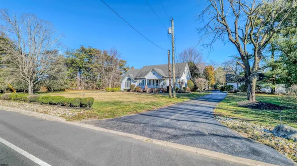 a view of a park with large trees