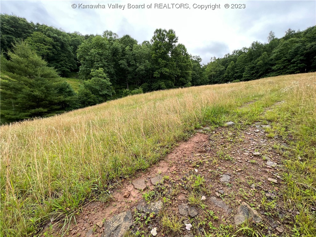 2017 Horse Fork Road Wallback, WV 25285 - Photo 5 of 19 Gallery Image 5