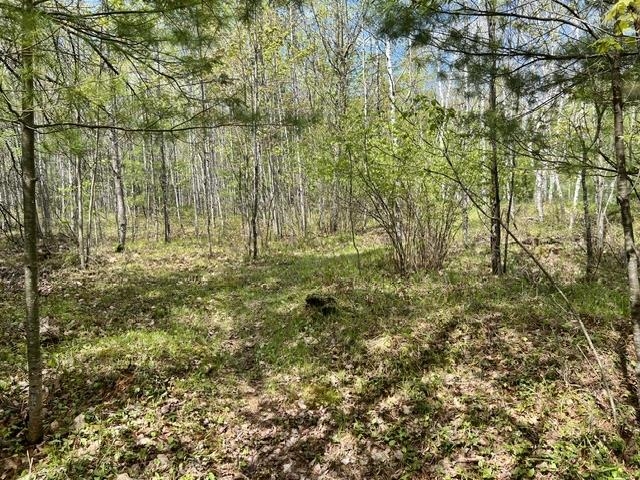 W8001 East Cataline Road Pembine, WI 54156 - Photo 20 of 27