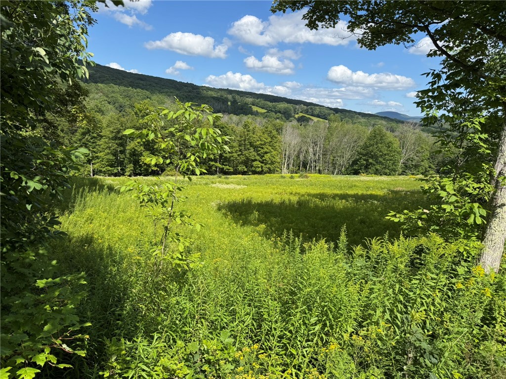 0 Lower Meeker Hollow Road Roxbury, NY 12474 - Photo 4 of 10 Gallery Image 4
