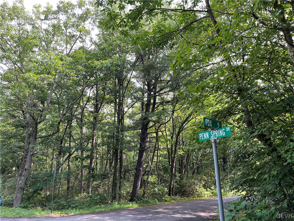 138 Penn Spring Drive Jim Thorpe, PA 18229 - Photo 1 of 8 a view of a forest with trees