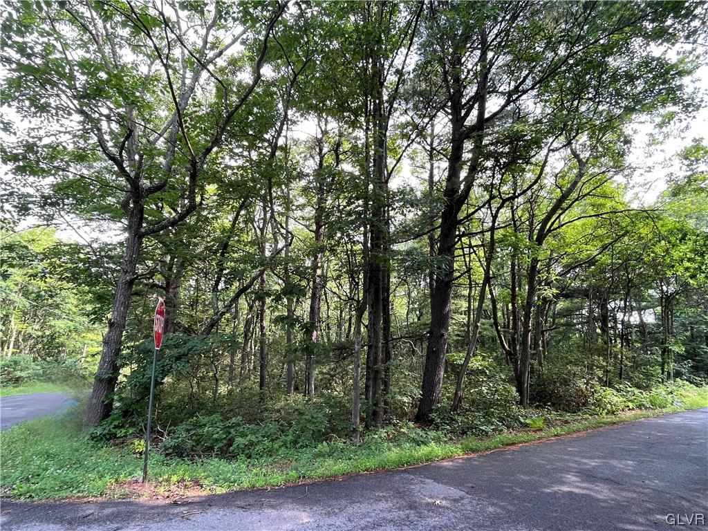 138 Penn Spring Drive Jim Thorpe, PA 18229 - Photo 2 of 8 a view of forest