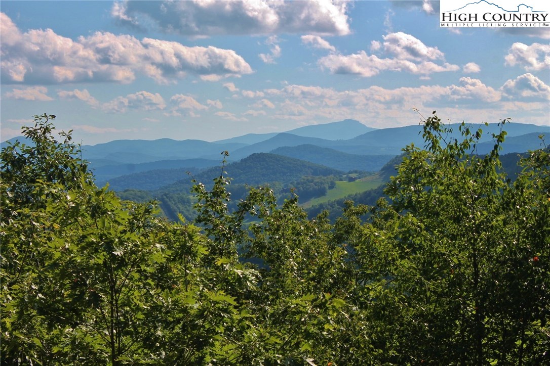 291 Sundance Road Todd, NC 28684 - Photo 3 of 22 Gallery Image 3