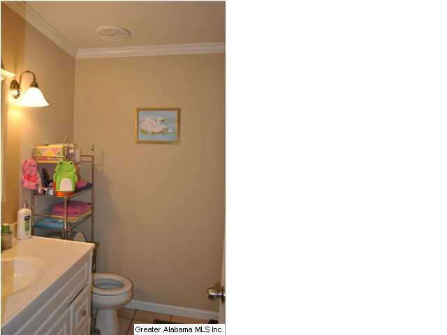 825 Wolf Creek Road South Pell City, AL 35128 - Photo 11 of 15