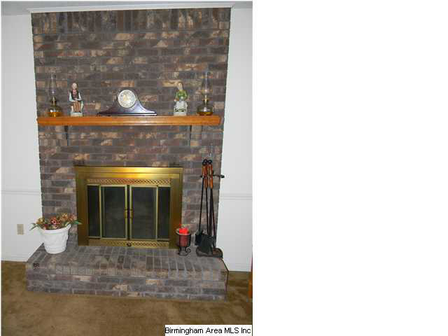 847 County Road 89 Clanton, AL 35046 - Photo 3 of 22