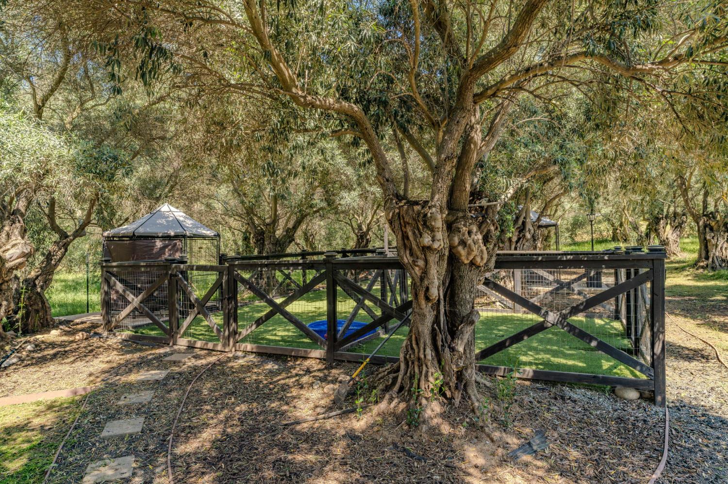 5250 West Lake Rd Valley Springs Valley Springs, CA 95252 - Photo 75 of 84