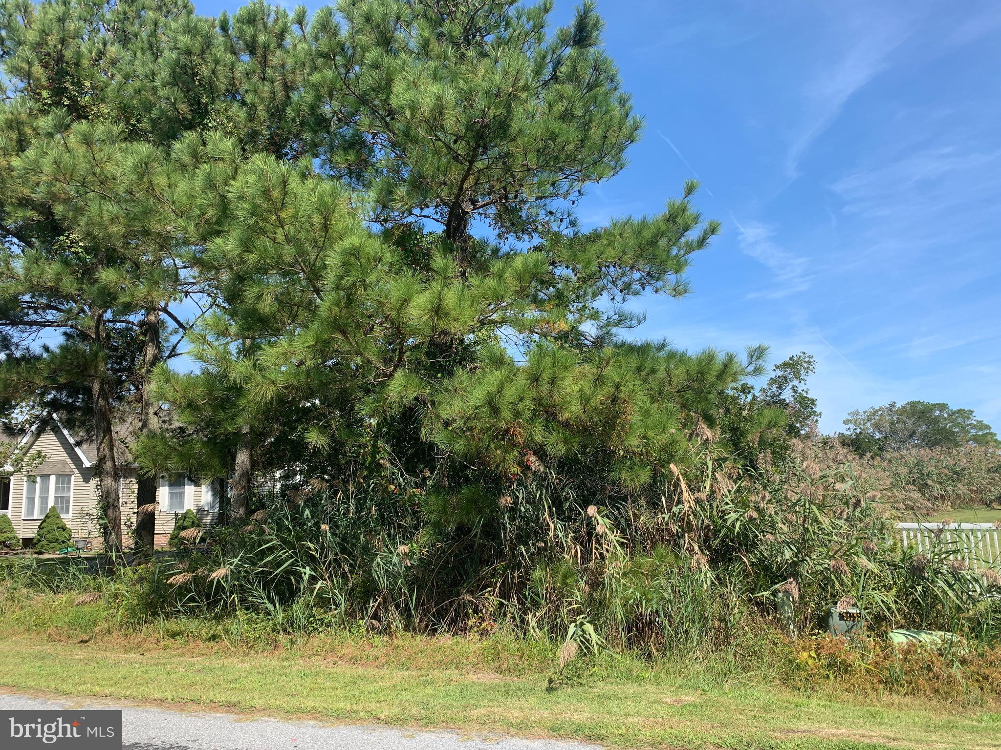 Riggin Ridge Road Ocean City, MD 21842 - Photo 1 of 1 Gallery Image 1
