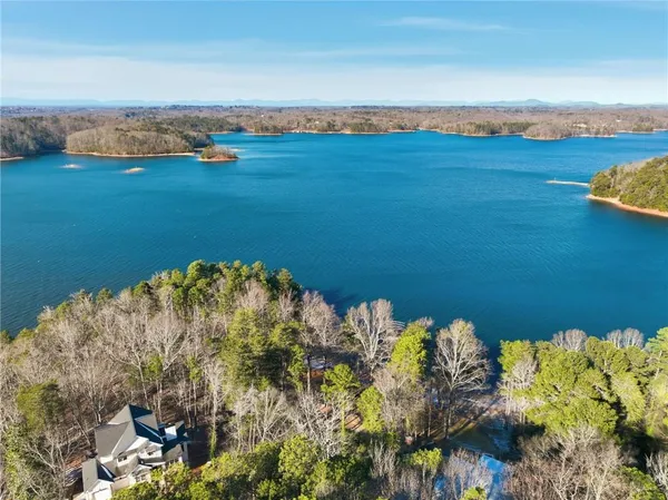 a view of a backyard with tree