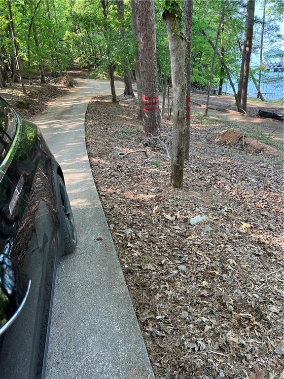4368 Cherokee Trail Gainesville, GA 30504 - Photo 13 of 14 a view of a backyard with tree
