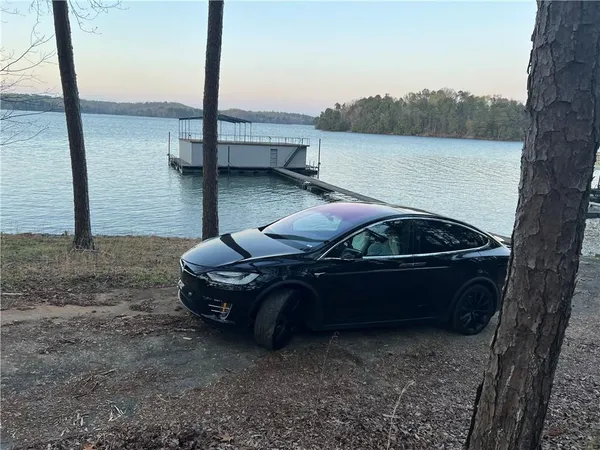 a close up of a tree in a yard