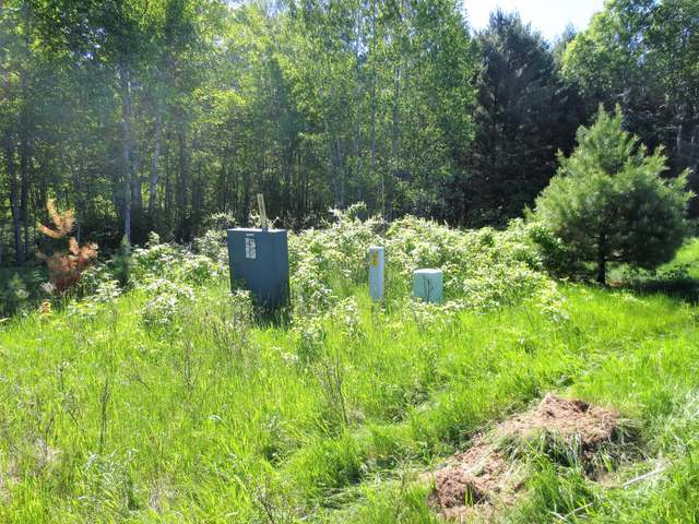 On Pine Shadow Lane, Unit LOT 13 Rhinelander, WI 54501 - Photo 3 of 9 Gallery Image 3