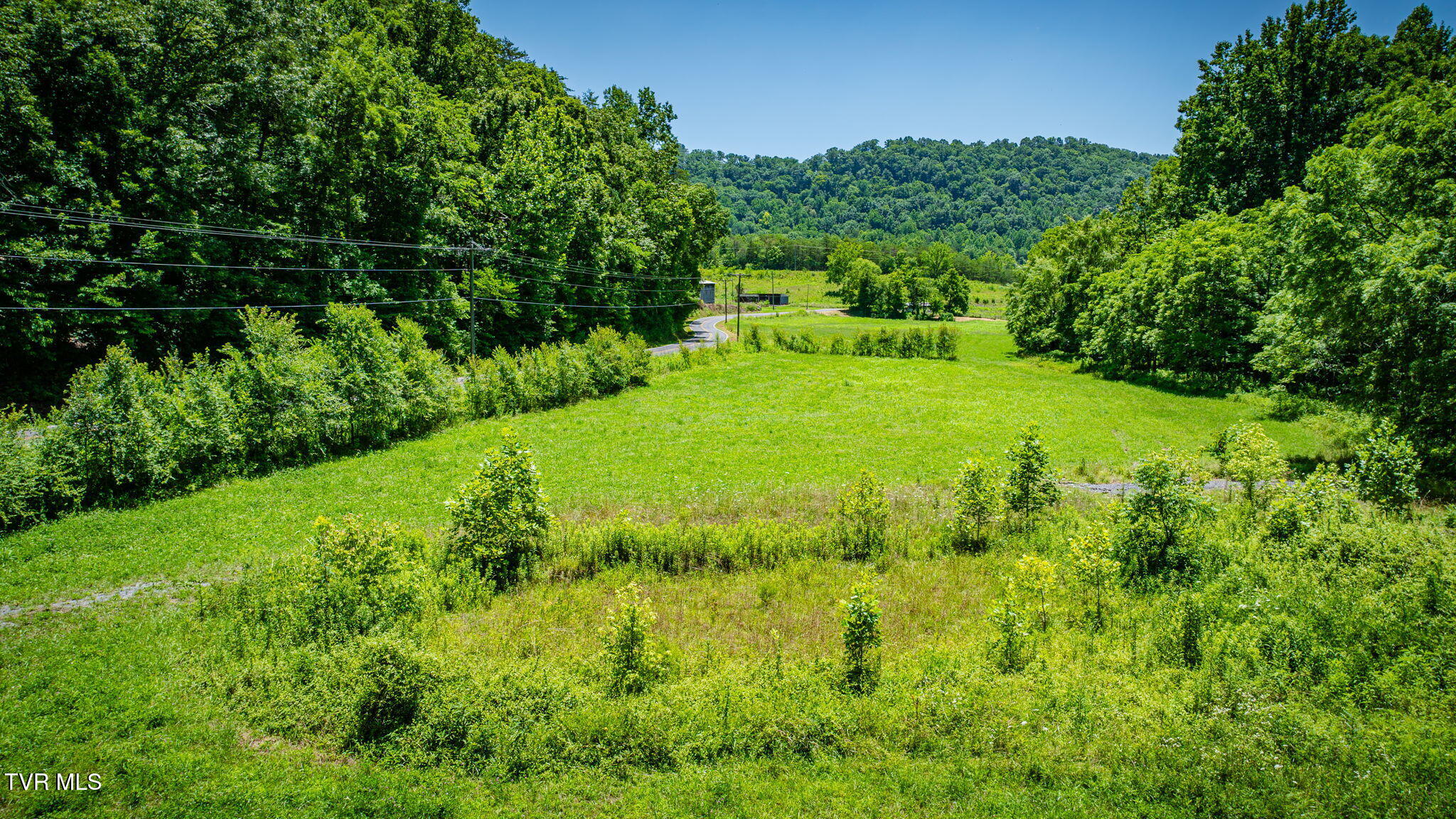 Tbd Hickory Cove Road Rogersville, TN 37857 - Photo 13 of 17 113