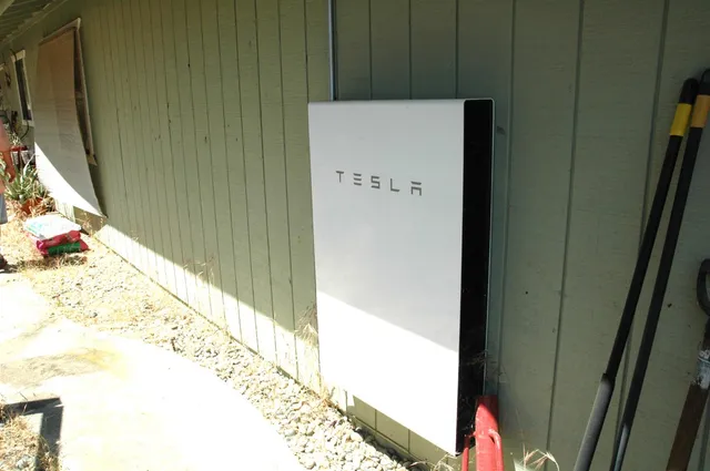 a view of backyard and tree