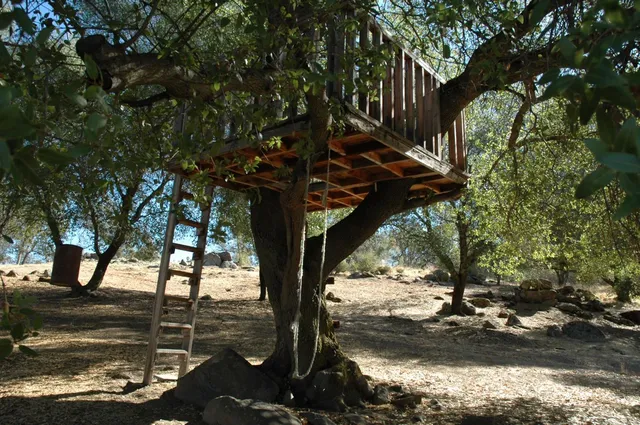 a view of a pathway of a house with a tree