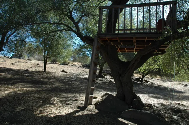 a view of dirt yard with a tree
