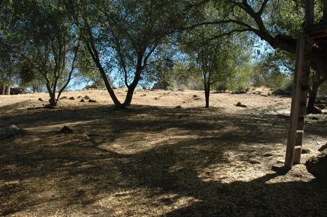 a view of road with large trees