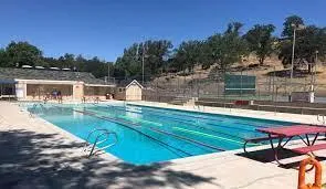 a water fountain in the middle of a lake