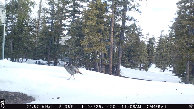 Undisclosed Address Duchesne, UT 84021 - Photo 29 of 29