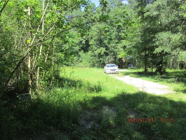 23175 Hutchinson Road Springfield, LA 70462 - Photo 14 of 20