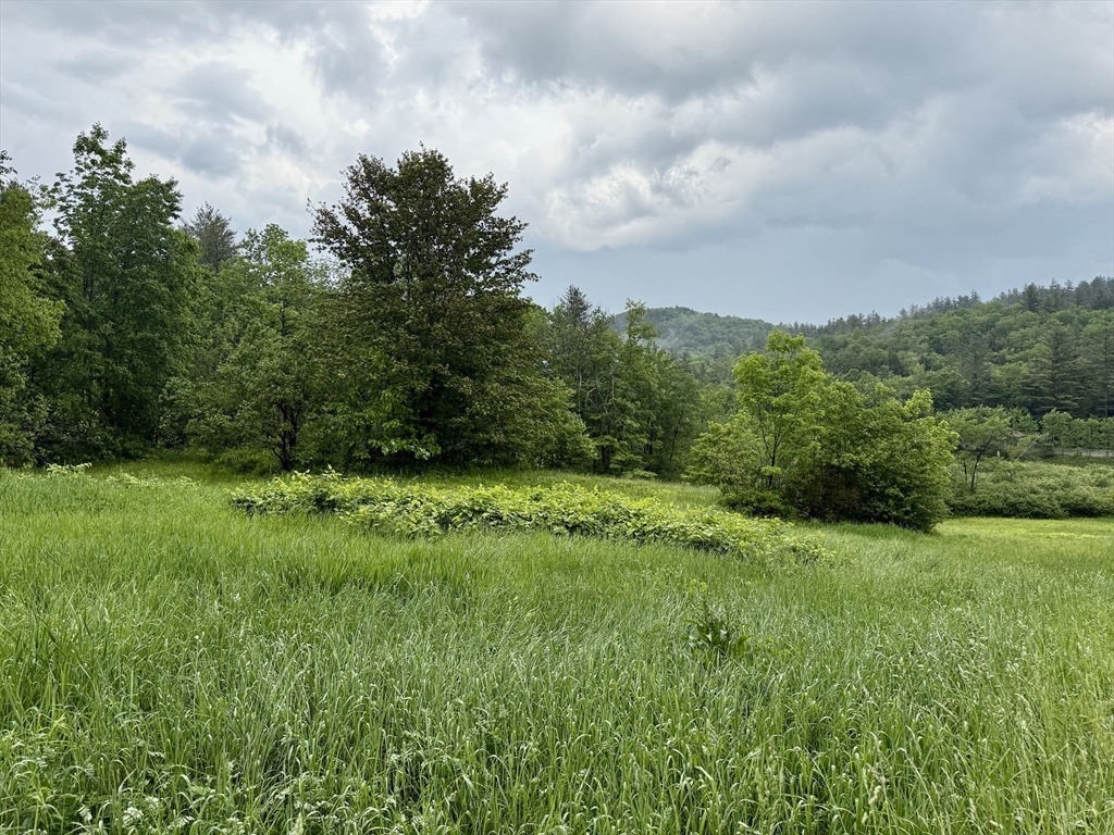 0 Stetson Road Hawley, MA 01339 - Photo 2 of 5 Gallery Image 2