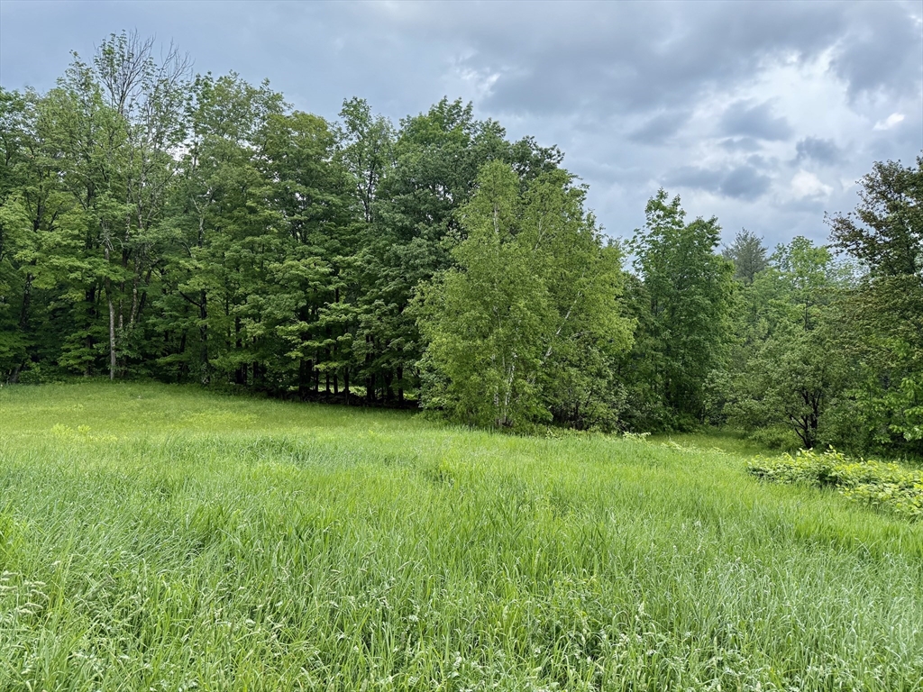 0 Stetson Road Hawley, MA 01339 - Photo 3 of 5 Gallery Image 3